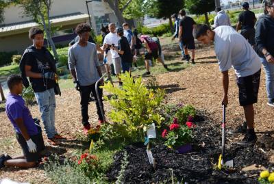 Armijo High School football players volunteer at the new school garden, Tuesday, Aug. 21, 2019. (Photo and article courtesy of Todd R. Hansen/Daily Republic)